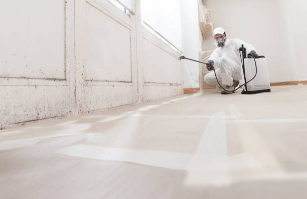 24/7 Emergency Mold Remediation experts in Houtzdale, PA
